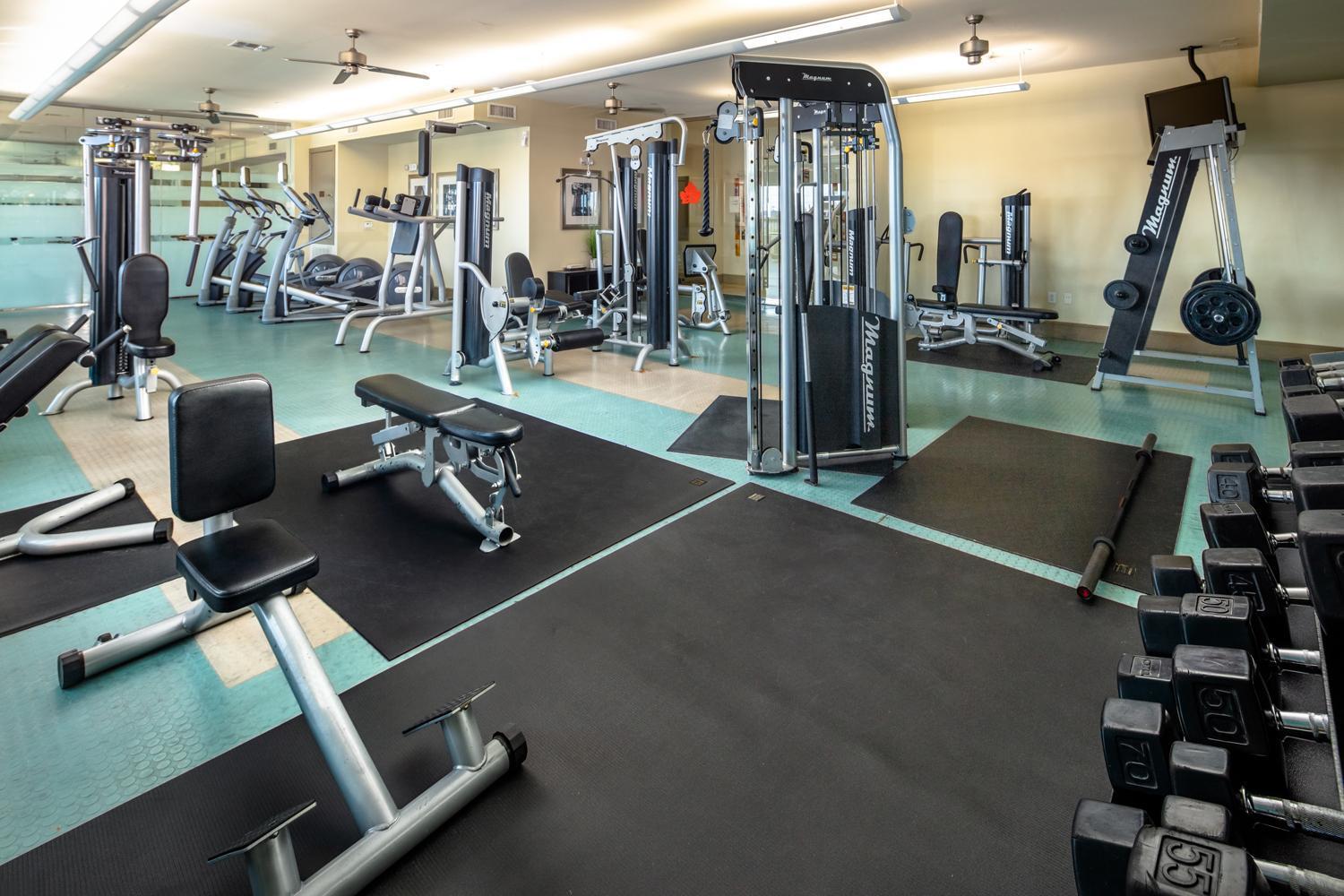 Gorgeous Furnished Apartments Near Texas Medical Center & Nrg Stadium Houston Esterno foto