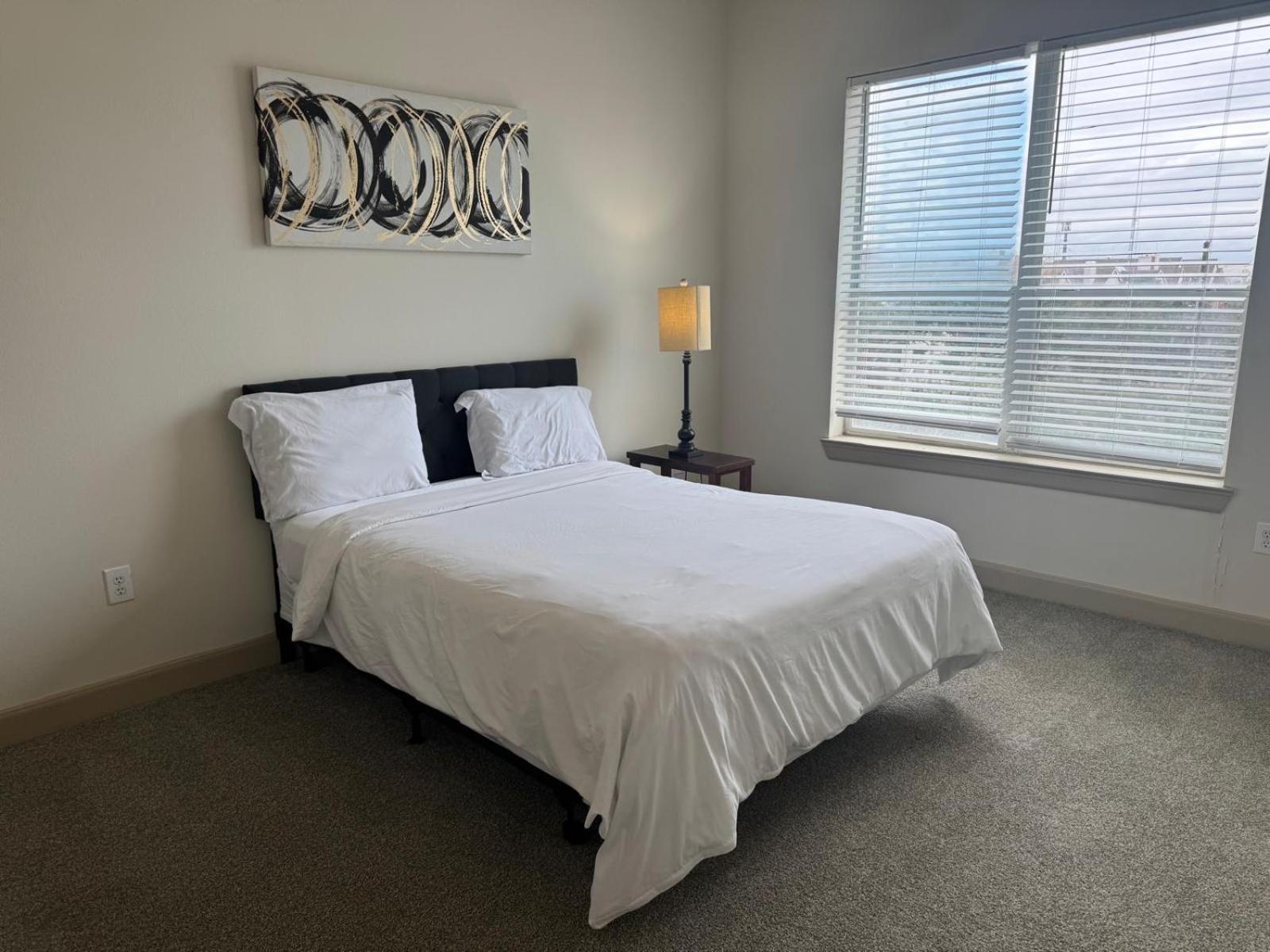 Gorgeous Furnished Apartments Near Texas Medical Center & Nrg Stadium Houston Camera foto